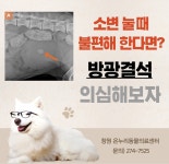 온누리동물의료센터