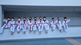 동영태권도