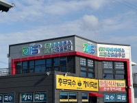디아이에스