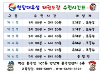 한양대우성태권도