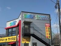 디아이에스