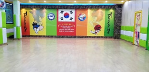 한양대우성태권도