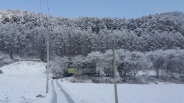궁골펜션