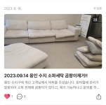 경력20년 화이트크린