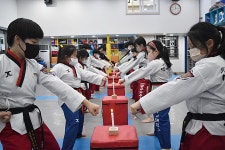 부산대박사태권도