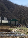 가평산속요양병원