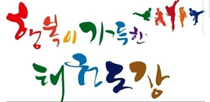 한양대우성태권도