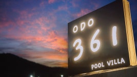 오도361