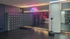 클린치복싱