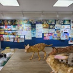 윤샘 미술 교습소