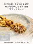 원코리아