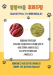 몽몽야옹