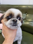 멍미뇽