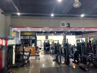 고릴라피트니스