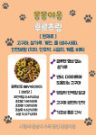 몽몽야옹