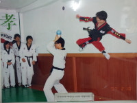 충효태권도