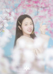 화이트루