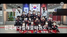 한국체대힐캐슬태권도