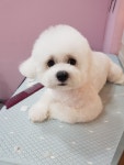 아껴줄개