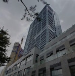 디자인 윤