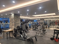 워너비휘트니스