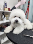 까미랑몽이