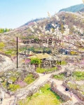물놀이펜션