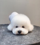 지니펫 애견미용실