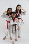 정릉경희대태권도