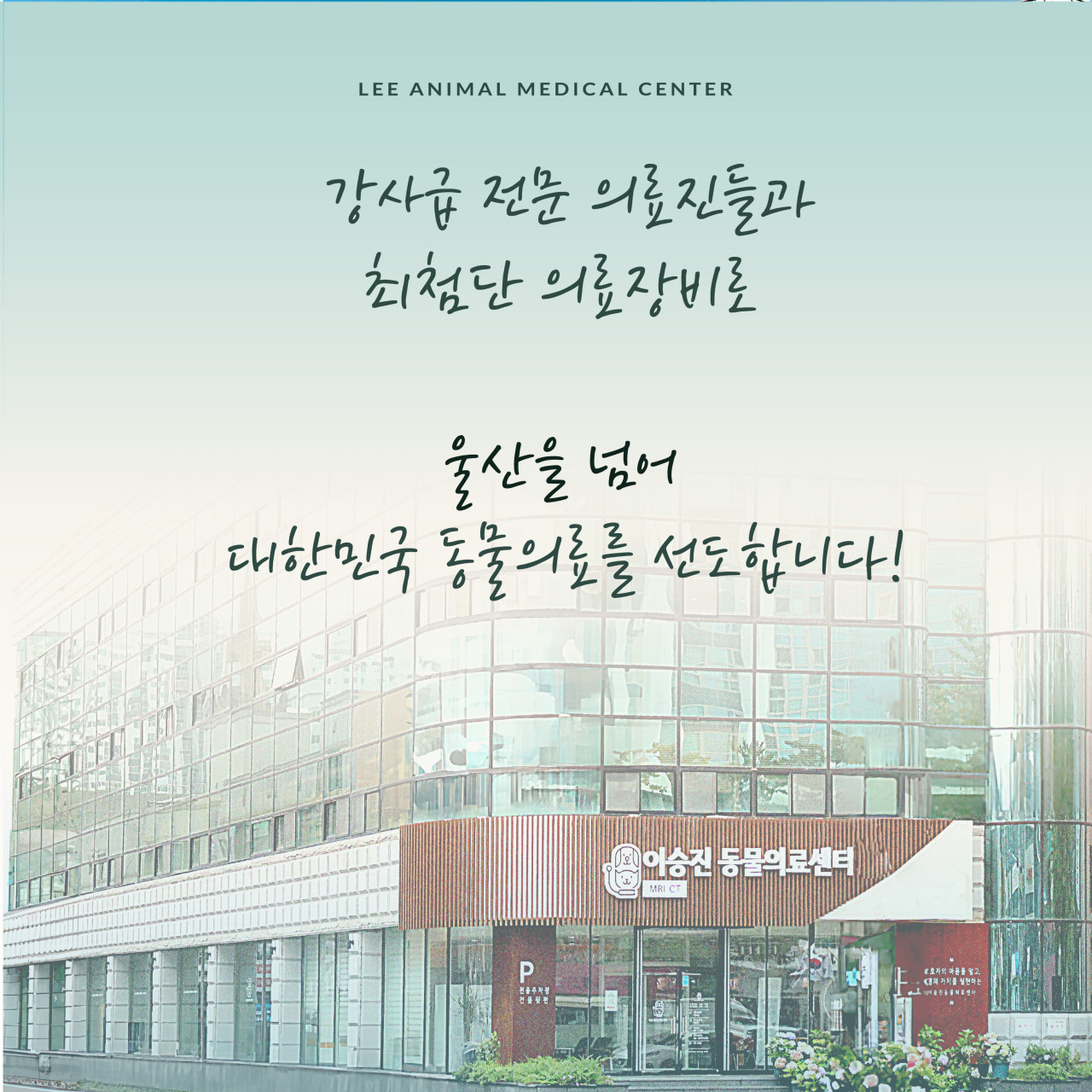 울산 이승진동물병원