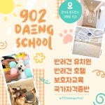 902댕스쿨 애견유치원 애견호텔