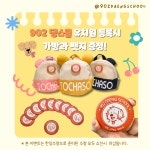 902댕스쿨 애견유치원 애견호텔