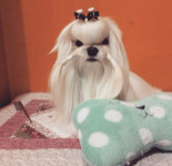 몽플러피