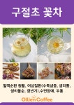 올리앤커피 김해점