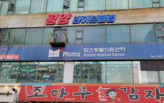평양라이브클럽