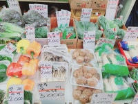 늘푸른야채
