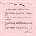 902댕스쿨 애견유치원 애견호텔