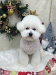 몽플러피