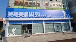 에덴종합광고
