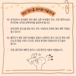 902댕스쿨 애견유치원 애견호텔