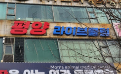 평양라이브클럽