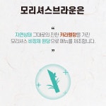 모리셔스브라운 영종점