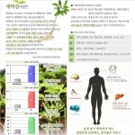 에코팜농원
