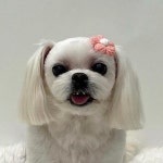 포에버위드유 살롱