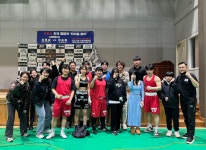 평택복싱스타