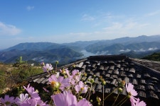 자연닮은치유농장