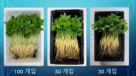 에코팜농원