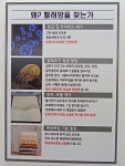 워시팡팡 화곡신정초점