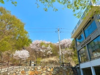온더밸리