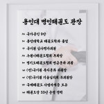 용인대명인태권도